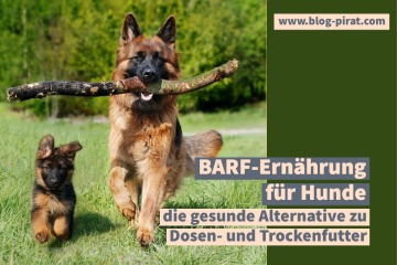 BARF-Ernaehrung-fuer-Hunde-die-gesunde-Alternative-zu-Dosen-und-Trockenfutter